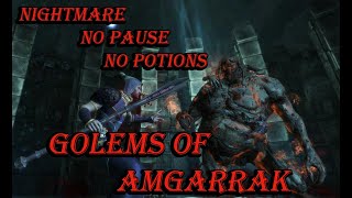 Dragon Age Origins Golems of Amgarrak FULL Playthrough WAR MAGENightmare No pause No potions [upl. by Eylatan]