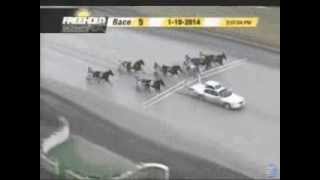 Freehold Accident on 011014 in race 5 starting car runs into horses [upl. by Alliuqat764]