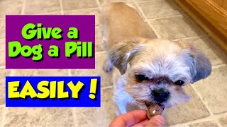 How I Give My Picky Dog Her Pills Works EVERY TIME [upl. by Atcele]