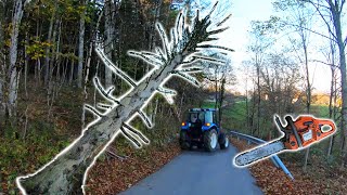 Farmers POV  Clearing Dangerous Hung Trees  New Holland T475 Husqvarna 353 [upl. by Esnofla524]