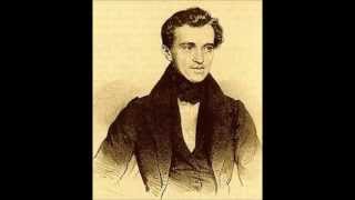 Johann Strauss  Radetzky March Remix [upl. by Akena]