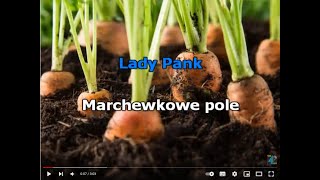 Lady Pank  Marchewkowe pole  karaoke [upl. by Hartmunn]