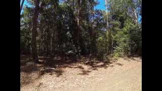 Pademelon Campground Lower Part Chichester State Forest [upl. by Siuoleoj338]