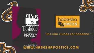 Eritrea  Angesom Tesfaldet  Shaney  Official Audio  New Eritrean Music 2014 [upl. by Klein]