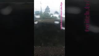 Steamrails Transfer LilydaleNewport steam steamrail shorts shortvideo train travel views [upl. by Mazurek]