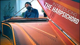 Introducing The Harpsichord [upl. by Heigho]