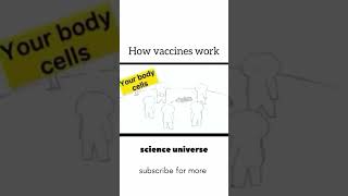 How vaccine works  funnyshorts biology 1million viralshorts [upl. by Viens]