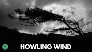 10 HR  HOWLING WIND sounds for sleeping amp relaxation  Dark Screen  Black Screen [upl. by Thetos211]