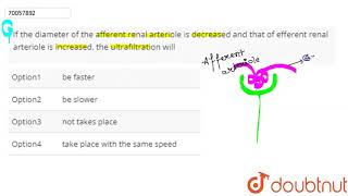 If the diameter of the afferent renal arteriole is decreased and that of efferent renal [upl. by Sirac106]