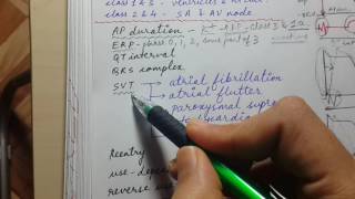 ANTIARRHYTHMIC DRUGS class 1 and class 3  USMLE STEP 1 CARDIAC PHARMACOLOGY [upl. by Atiroc]