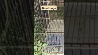 Used Cages birds breeding viral cages viralvideos ytshorts [upl. by Howes]