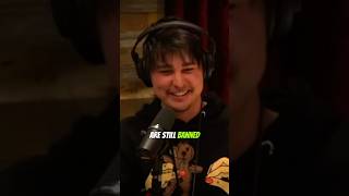 😆 Poor lads got banned from Mall 🤣  funnypodcast joerogan [upl. by Duomham]