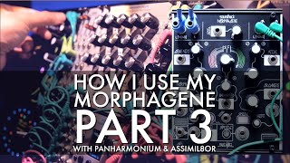 How I use My Morphagene an Ambient Composition with Rossum Panharmonium amp Assimil8or Part 3 [upl. by Netti801]