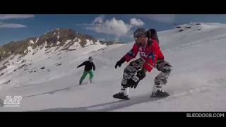 Skating in slush in the beautiful French Alps  Sled Dogs Snowskates [upl. by Nerret]