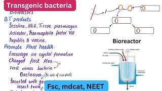 Transgenic bacteria  Biotechnology products  class 12 [upl. by Notyad386]