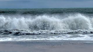 Chincoteague Island VA [upl. by Carlton252]