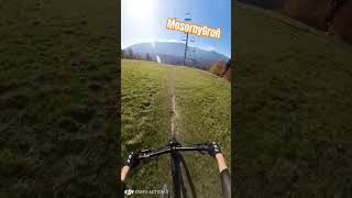 bikepark enduro mosornygron zawoja mtb ebike endurotrails downhill bike mountainbike [upl. by Simmie390]