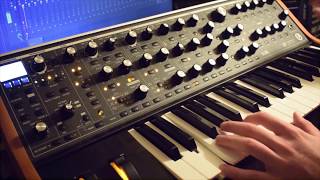 Moog Subsequent 37  Patch from Scratch with Ventris Dual Reverb [upl. by Felicie]