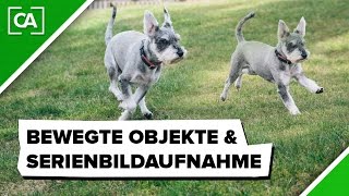 Serienbildaufnahme amp Bewegte Objekte  caphotosde [upl. by Iolande586]