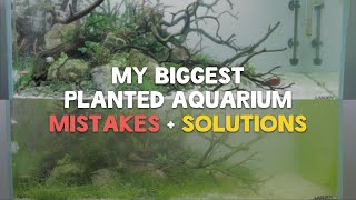 Top 5 Planted Aquarium Mistakes  Beginner Aquascaping Mistakes and Solutions [upl. by Betthezel]