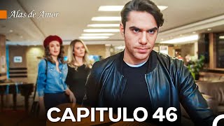 Alas de Amor Capitulo 46 Doblado En Español [upl. by Ccasi]