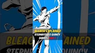 Who are Sternritter in Bleach Part 1 bleach [upl. by Jake495]