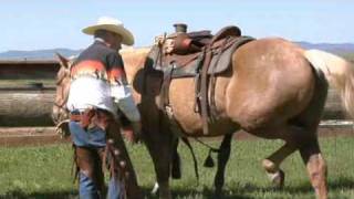 How to Western Saddle a Horse [upl. by Leonelle]