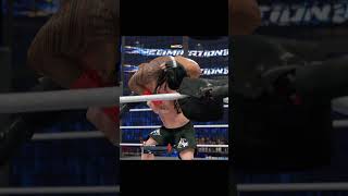 Brock Lesnar Wins The Elimination Chamber [upl. by Airam]