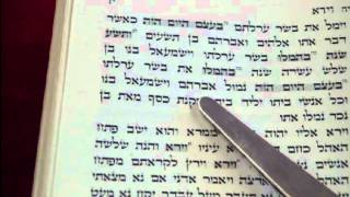 Maftir Reading Lech Lecha Rabbi Weisblum קריאת מפטיר לך לך הרב ויסבלום [upl. by Pelag]