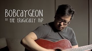 Bobcaygeon by The Tragically Hip Cover [upl. by Nace]