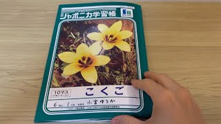 『存在しない小学生の自由研究』を作りました [upl. by Wiebmer43]