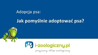 Adopcja psa  co musisz o niej wiedzieć [upl. by Ralyt]