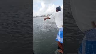 Catching the Most Expensive Barramundi Fish on the Long Bridge fishing fishingvideos seafishing [upl. by Ihcekn]