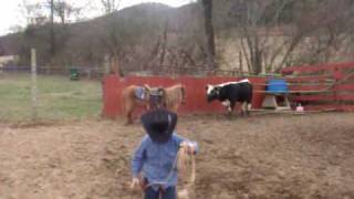 5 year old roping his 1st cow [upl. by Ive]