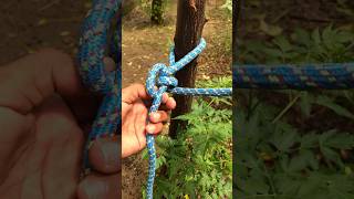 Fishing Knots Tutorial How To Tie A Dropper Loop Knot for Weight fishing fishingvideo knot [upl. by Annadiane]