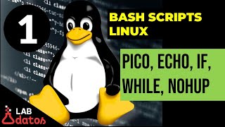 Parte1 Tutorial de Bash Script en Linux Editor pico y nano [upl. by Bernat]