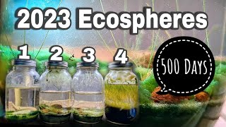 1 Year Ecosphere Update Incremental Improvement [upl. by Mari]