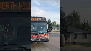 Novabus LFS 8149 On Route 40 To North Hill transit bus shorts short calgarytransit [upl. by Llig69]