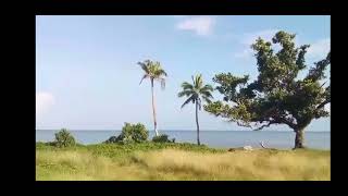 The Tonga volcano shockwave as heard from Fiji nearly 1000 km away [upl. by Aklim]