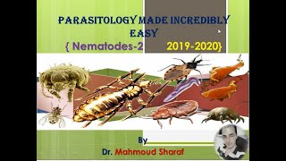 Ancylostoma duodenale and Strongyloides stercoralis Nematodes 2 2019  2020 [upl. by Atirehc780]