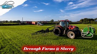 Drenagh Farms Umbilical Slurry [upl. by Cantone]