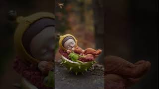 Polymer clay art doll  fairy tale stopmotion animation [upl. by Tips]