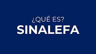 ¿Qué es la SINALEFA [upl. by Gaskin]