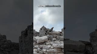 Tulum Mexiko das ist die magische Stadt der Maya ✔️ travel wahregeschichte history real [upl. by Adam266]