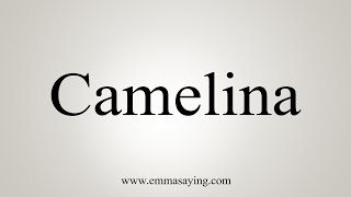 How To Say Camelina [upl. by Benson]