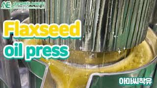 Flaxseed oil Flax seeds cold press flaxseed press [upl. by Nylanaj]