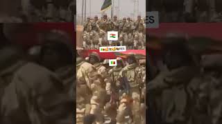 Défilé 🇳🇪🇲🇱🇧🇫des forces malien et nigérien [upl. by Hukill]