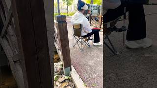 Use this simple fishing chair for fishing fishingchair fishingviralvideo viralshorts short [upl. by Anide227]