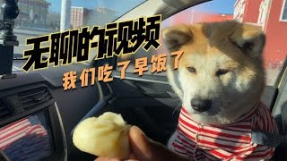 好无聊的一个视频，好无聊的标题，好无聊的957，他吃了一顿早饭【ENG SUB】 [upl. by Aruat2]