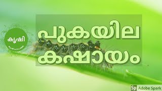 പുകയില കഷായം എങ്ങിനെ ഫലപ്രദമായി ഉപയോഗിക്കാം  tobacco pesticide preparation and usage [upl. by Kraska]